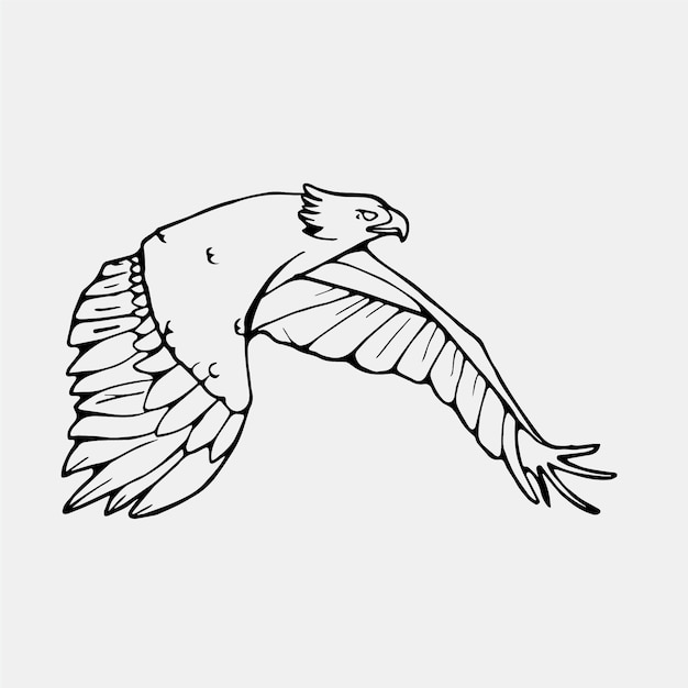 エキゾチックな飛行鳥のイラスト
