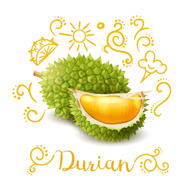 Free vector exotic fruit durian doodles composition