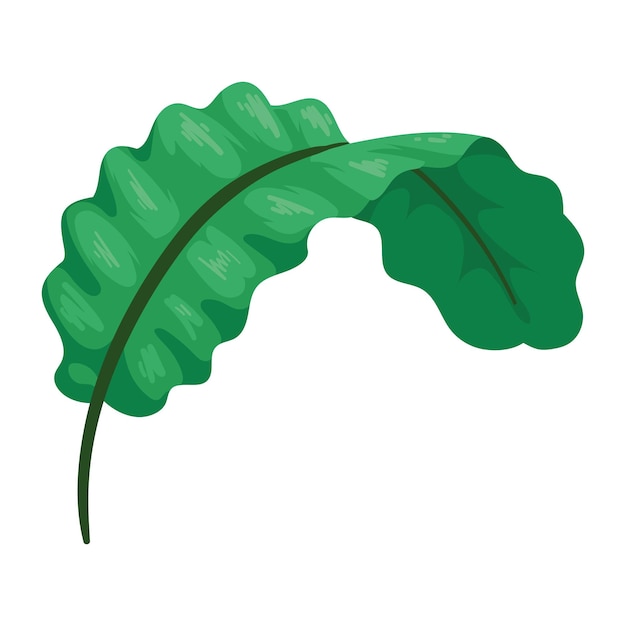 Бесплатное векторное изображение Экзотическое листовое растение изолированный дизайн иконы