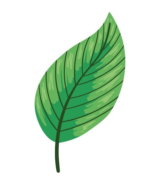 Free vector exotic leaf plant jungle isolated icon