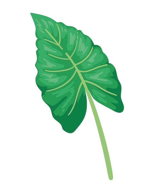 무료 벡터 이국적인 잎 식물 자연 고립 아이콘