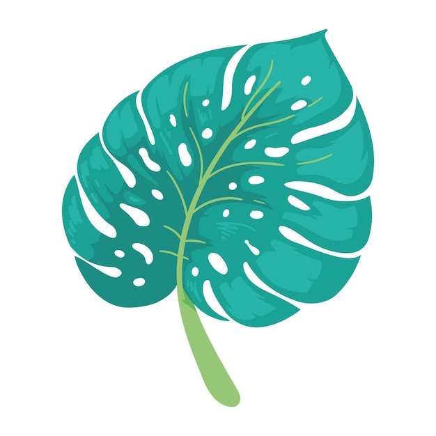 Exotic leaf plant tropical isolated icon