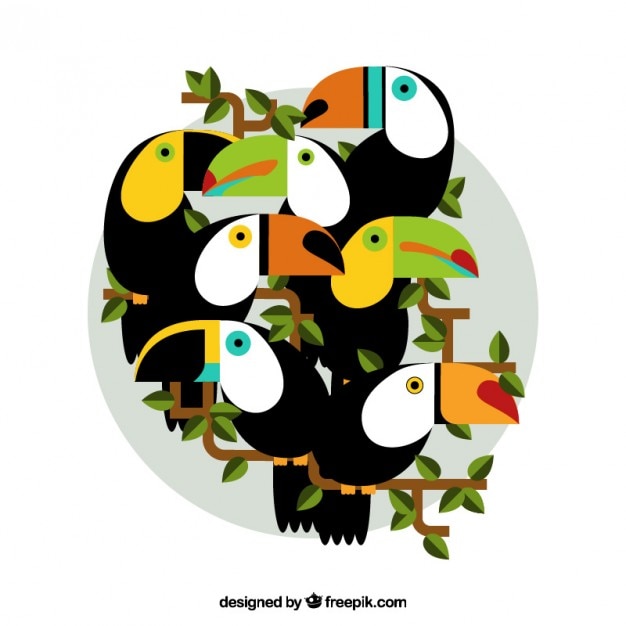 Free vector exotic toucans in flat design