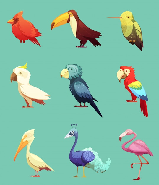 Free vector exotic tropical birds retro icons set