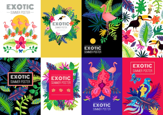 Free vector exotic tropical colorful banners collection