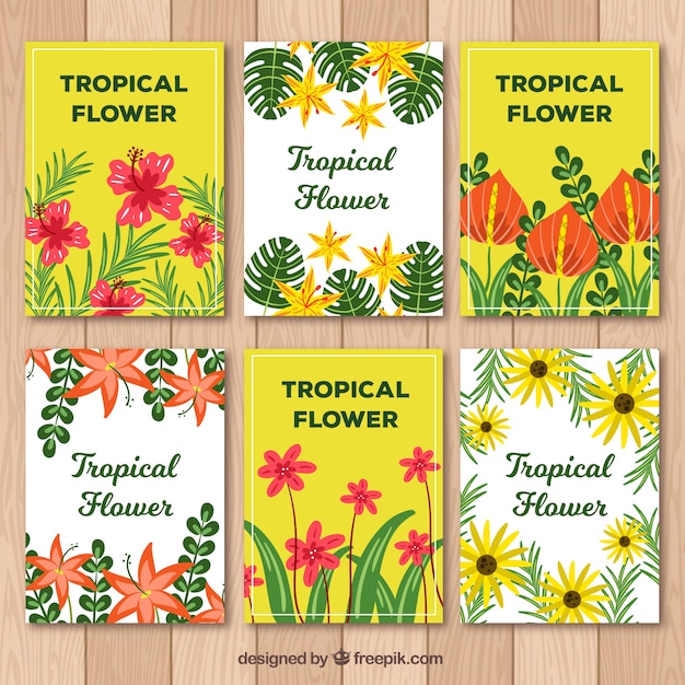 Exotic tropical flower card collection