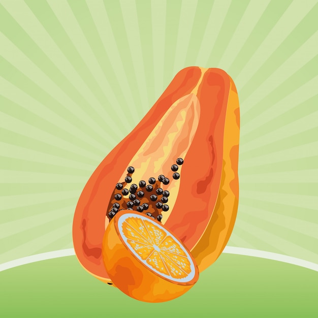 Free vector exotic tropical fruit icon cartoon