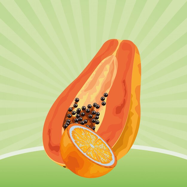 Exotic tropical fruit icon cartoon