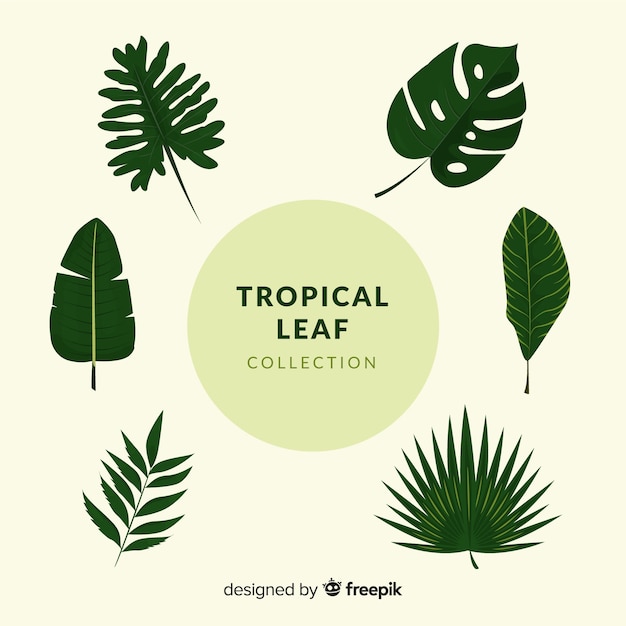 Vettore gratuito collezione esotica di foglie tropicali con design piatto