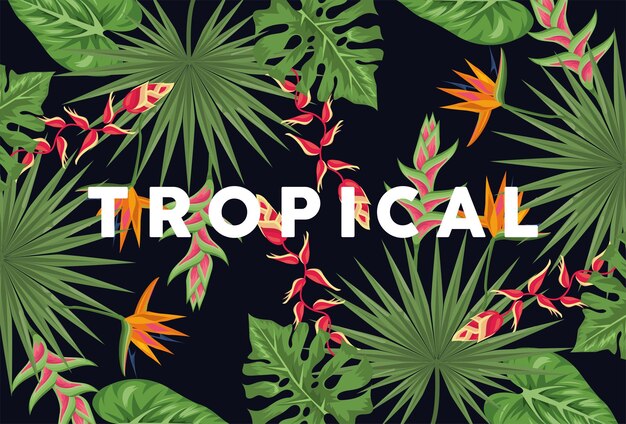 Exotic tropical plants background