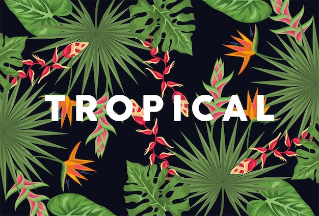 Exotic tropical plants background