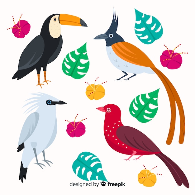 Бесплатное векторное изображение Коллекция экзотических тропических диких птиц