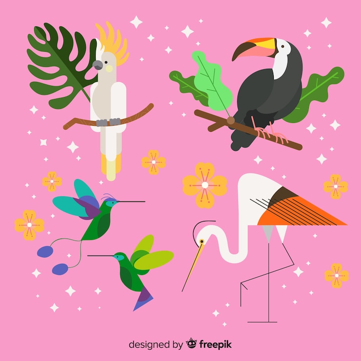 無料Vector エキゾチックな熱帯の野鳥のコレクション