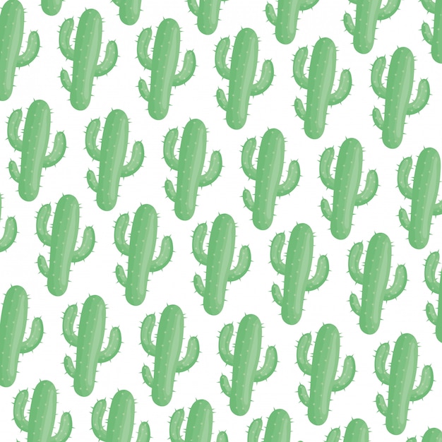 Exotics cactus plants natural pattern