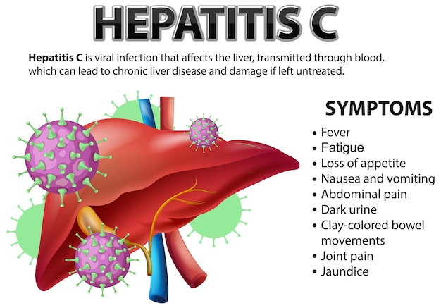 Explaining hepatitis c with vector graphics