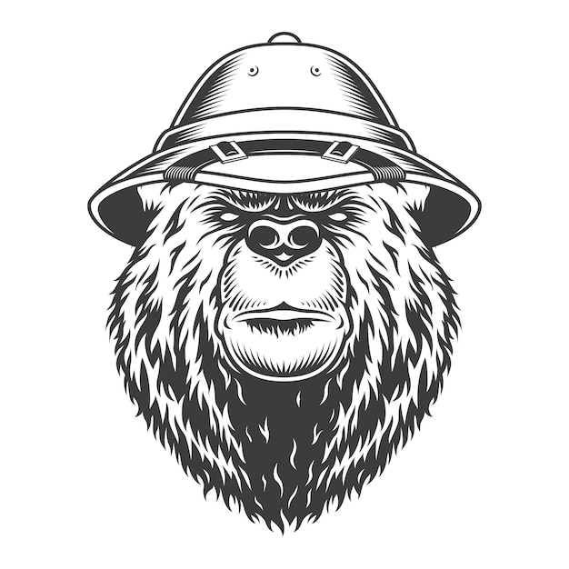 Explorer bear head in safari cap