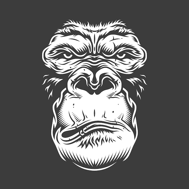 Face of gorilla  on white