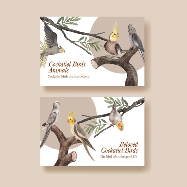 Facebook template with cockatiel bird concept,watercolor style