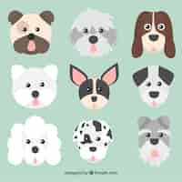 Free vector faces collection dogs of different races