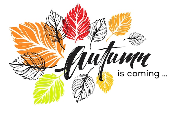 自由矢量秋天的背景设计与五颜六色的秋叶。矢量插图eps10