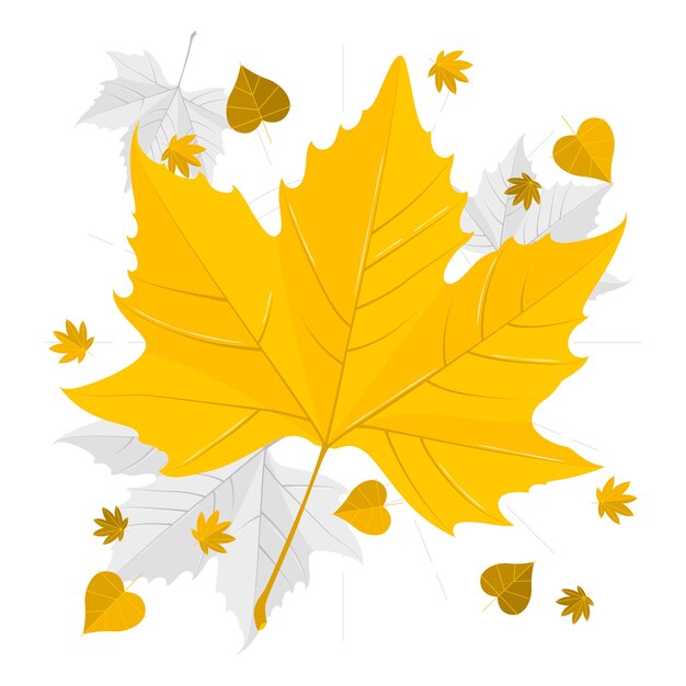 Maple Leaf Png Images - Free Download on Freepik