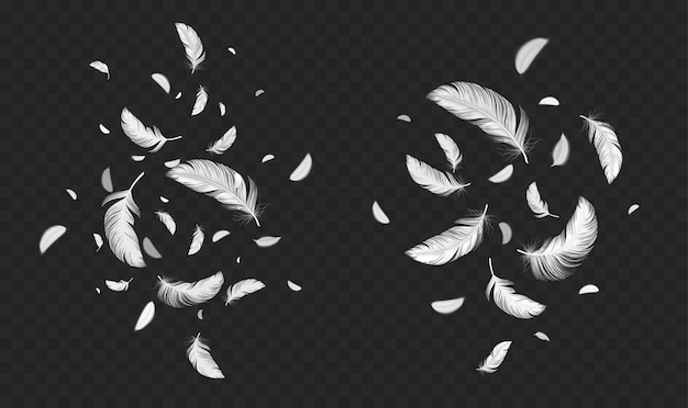 Free vector falling white soft feathers bird plumage splash