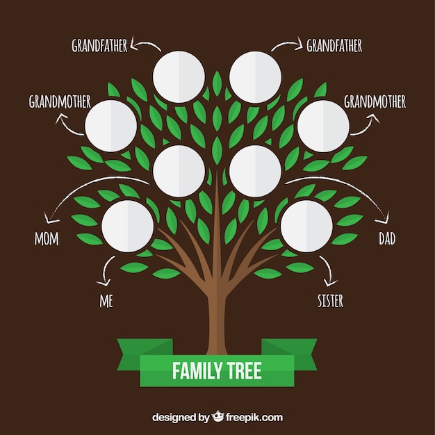 Free vector family tree with green leaves and arrows