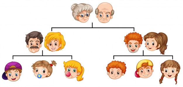 Free vector family tree