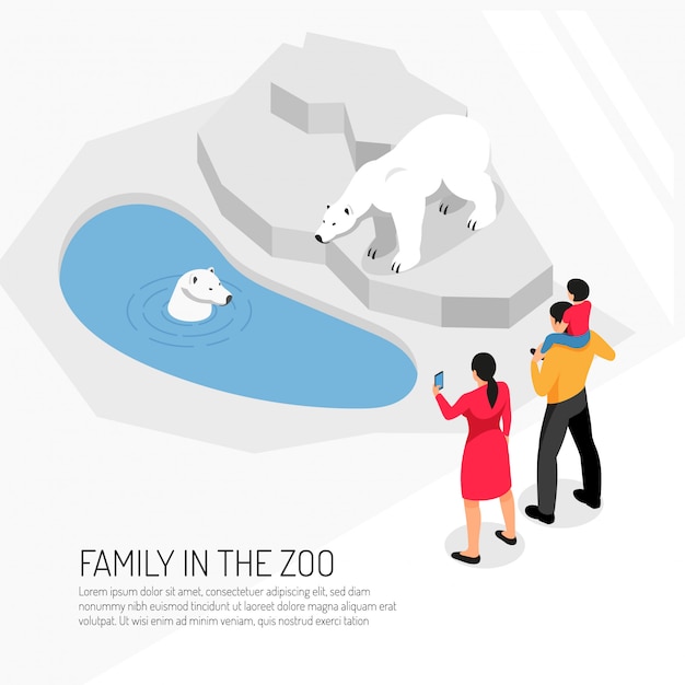 Family in zoo during watching polar bears on white  isometric