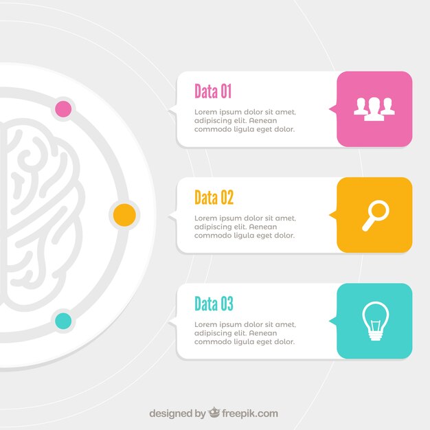 Fantastic brain infographic with color details