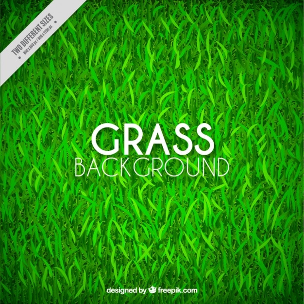 Free vector fantastic grass background