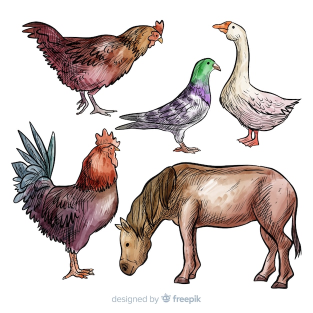 Free vector farm animal collectio