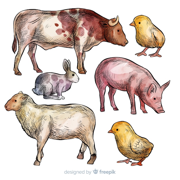 Free vector farm animal collectio