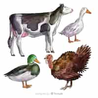 Free vector farm animal collectio