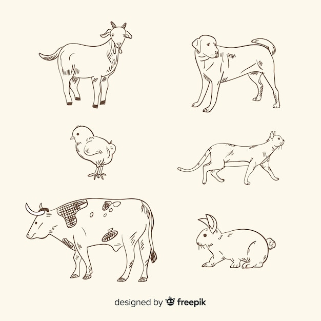 Free Vector farm animal collection