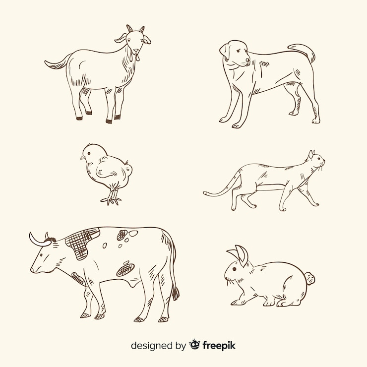 무료 Vector 농장 동물 모음