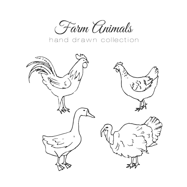 Farm animal hand drawn collection