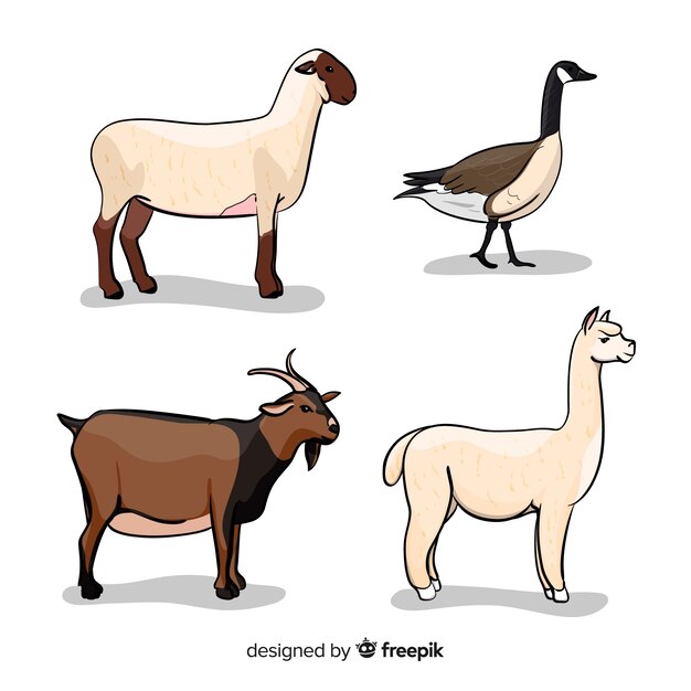 Farm animals collection in hand drawn style