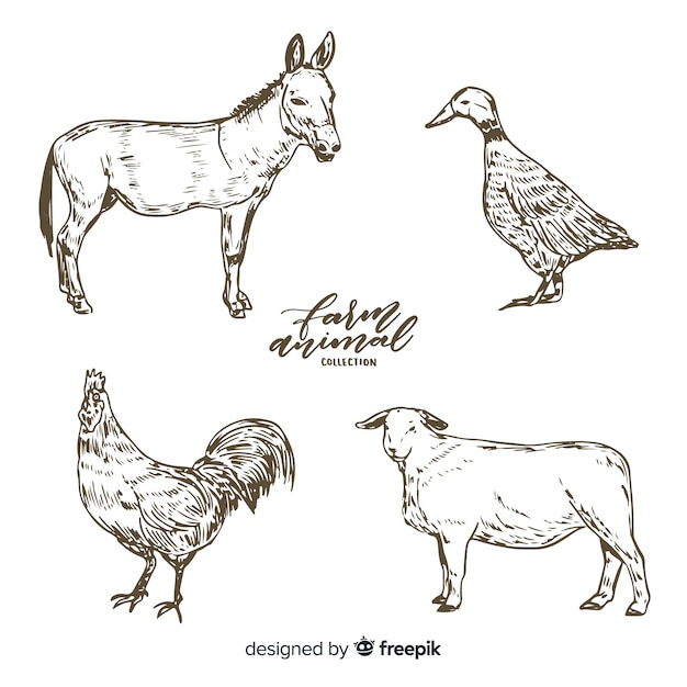 Farm animals collection in hand drawn style