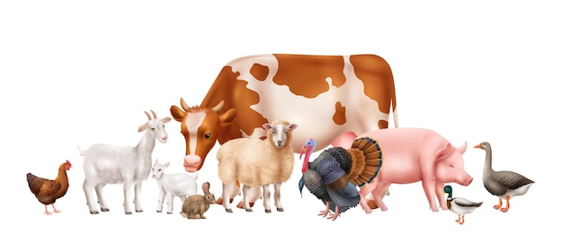 Farm animals composition