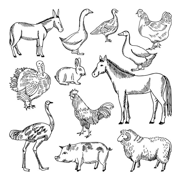 Free Vector Hand Drawn Animals Collection