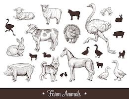 Farm animals vintage set