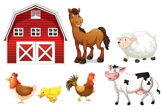 Farm animals