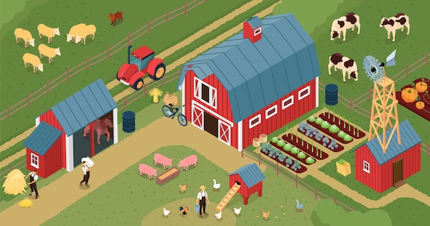 Free vector farm barnyard isometric composition with chicken laying house pigs farmland livestock