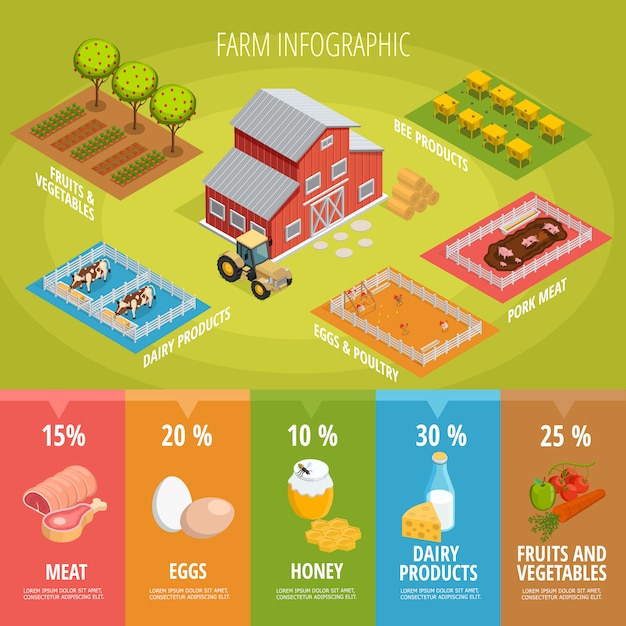 Infographics isometrica dell'alimento dell'azienda agricola