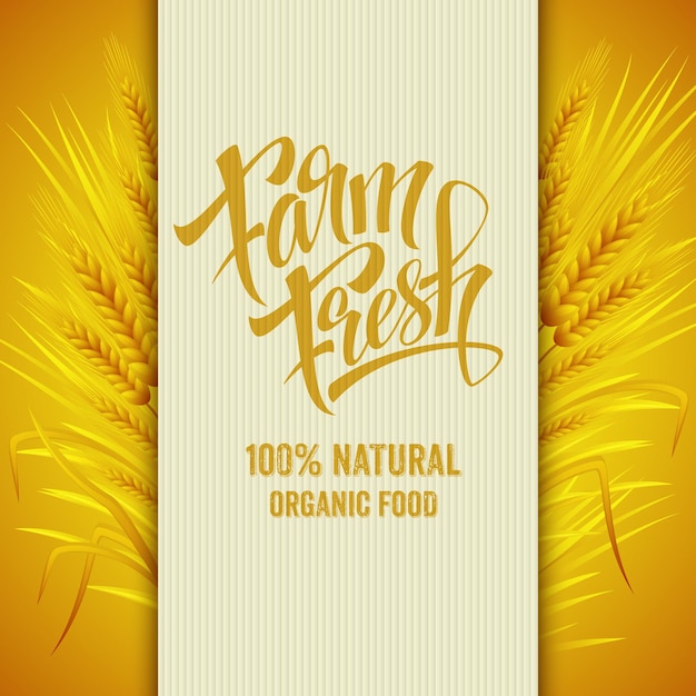 Farm fresh banner. Natural food