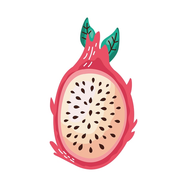 Free vector farm fresh dragon fruit