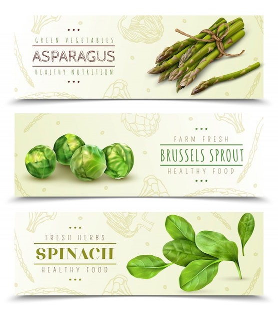 Farm fresh leafy vegetables realistic horizontal banners set