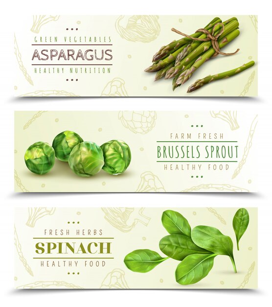 Farm fresh leafy vegetables realistic horizontal banners set