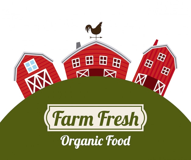 Free vector farm fresh organic food background